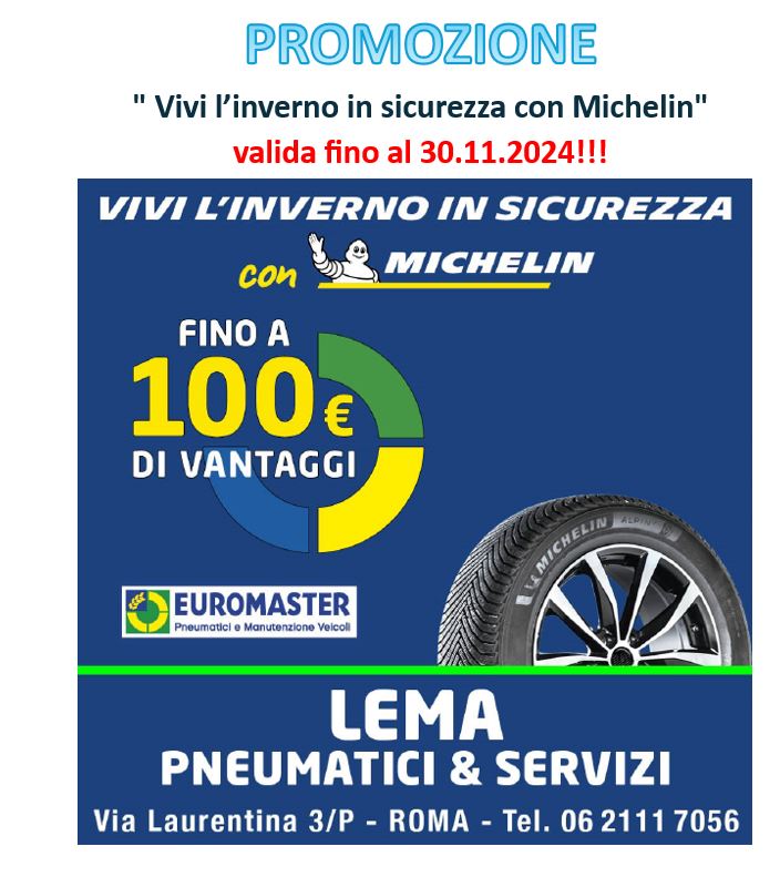 MICHELIN