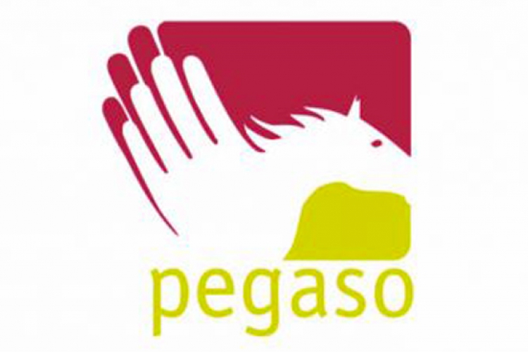 Logo Pegaso